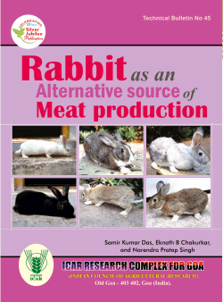Rabbit as an alternative source of meat production