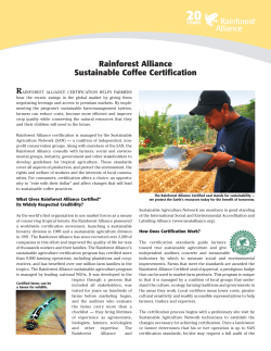 Rainforest Alliance Sustainable Coffee Certification