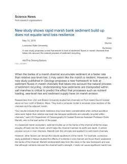 New study shows rapid marsh bank sediment build up does not