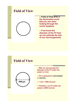 Field of View - Mrs. S Parlee