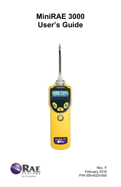 MiniRAE 3000 Manual