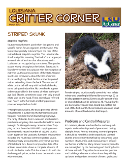 Louisiana Critter Corner March 2013