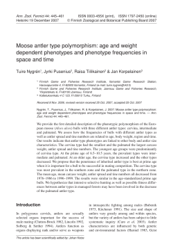 Moose antler type polymorphism: age and weight dependent