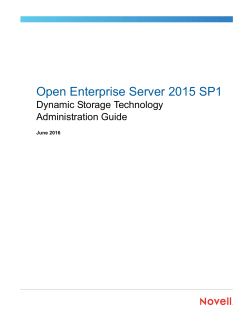 OES 2015 Beta: Dynamic Storage Technology Administration Guide