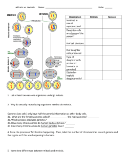 1. List at least two reasons organisms undergo mitosis. 2. Why