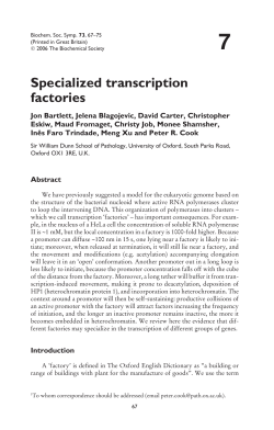 Specialized transcription factories