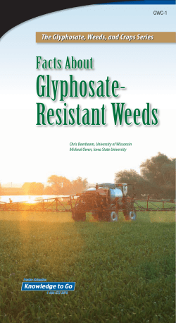GWC-1, Facts about Glyphosate-Resistant Weeds