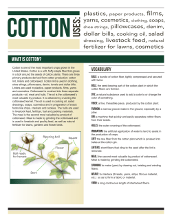 What is Cotton? - Illinois Ag in the Classroom