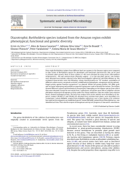 Diazotrophic Burkholderia species isolated from
