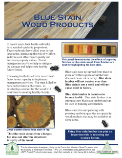 Blue Stain Wood Products Blue Stain Wood Products