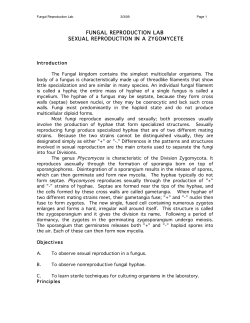 fungal reproduction lab sexual reproduction in a