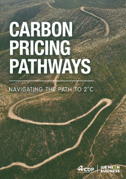 NAVIGATING THE PATH TO 2&deg;C