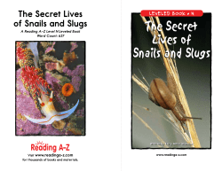 The Secret Lives of Snails and Slugs The Secret Lives of Snails and