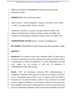 CMT gene family in plants