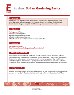 tip sheet: Soil for Gardening Basics