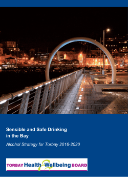 Alcohol Strategy