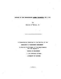 ECOLOGY OF THE CREOSOTEBUSH T