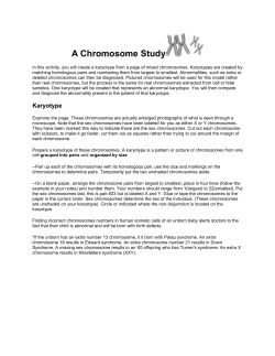A Chromosome Study Karyotypes
