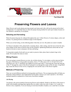 Preserving Flowers and Leaves - University of Maryland Extension