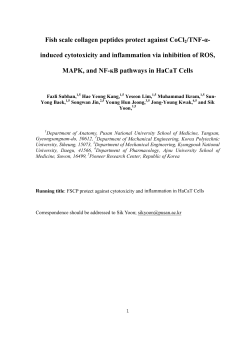 Fish scale collagen peptides protect against CoCl2/TNF-&alpha;