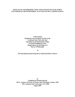 EFFECTS OF CRYOPRESERVATION AND CONSTITUENTS OF