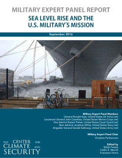 military expert panel report
