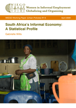 South Africa`s Informal Economy: A Statistical Profile