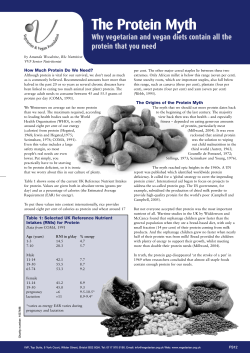 The Protein Myth