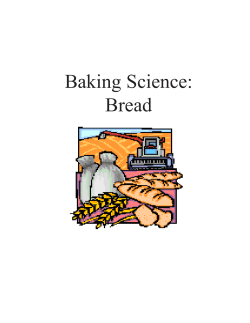 Bread Baking Lab - National Festival of Breads