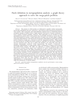 Patch definition in metapopulation analysis: a graph theory