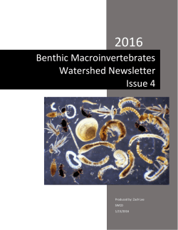 Benthic Macroinvertebrates