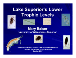 Lake Superior`s Lower Trophic Levels