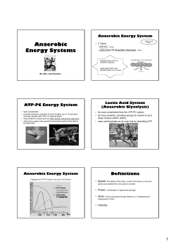 Anaerobic Energy Systems