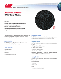 SAAFCarb (GPF-1-110A) - AAF International`s Asia Pacific