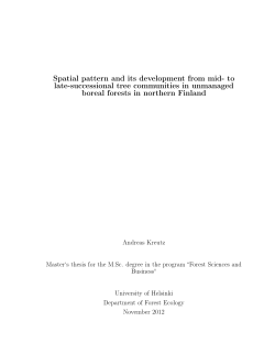 Spatial pattern and its development from mid- to late