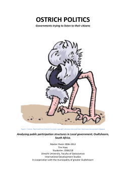Ostrich politics - Utrecht University Repository