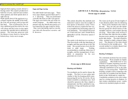 high pitched rasping sound, almost a