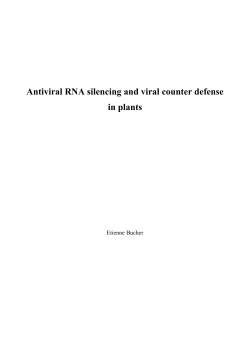 Antiviral RNA silencing viral counter defense in plants