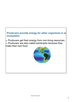 Producers provide energy for other organisms in an ecosystem