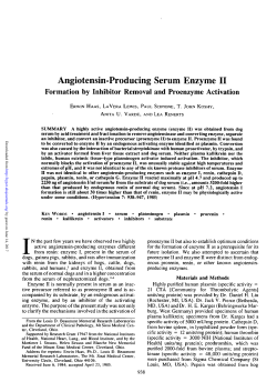 Angiotensin-Producing Serum Enzyme II