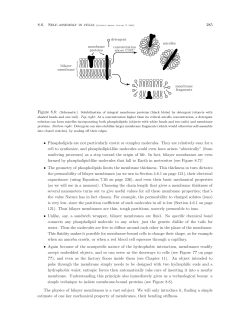 285 &bull; Phospholipids are not particularly exotic or complex molecules