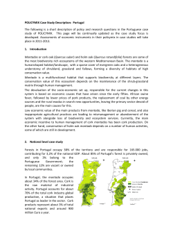 POLICYMIX Case Study Description: Portugal The following is a