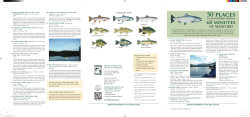 50 Places to go fishing within 60 minutes of Medford.