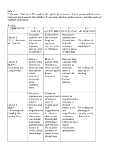 Rubric Performance Statement: The student will explain the