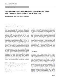Analysis of the Load on the Knee Joint and Vertebral