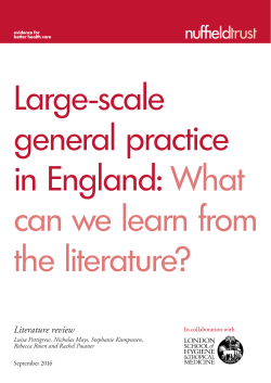 the literature review