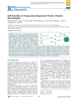 Self-Assembly of Temperature-Responsive Protein–Polymer