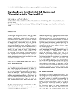 Signaling In and Out: Control of Cell Division and