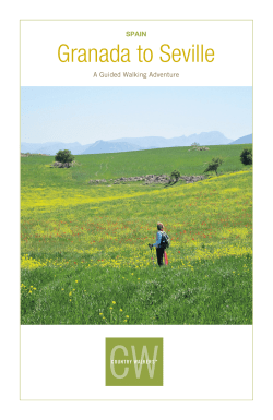 SPAIN Granada To Seville