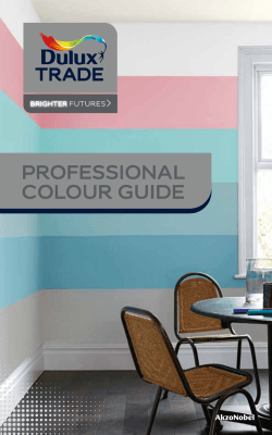 PROFESSIONAL COLOUR GUIDE